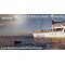 Freebird Catamaran (3 Hours)